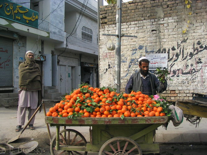 Pakistan and South Asia